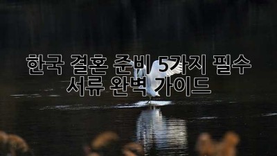 한국 결혼 준비, 5가지 필수 서류 완벽 가이드!