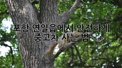 포항 연일읍에서 안전하게 중고차 사는 법 🚗💨